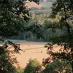 Tenuta Marchesi Fezia ファームステイ