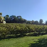 Tenuta Marchesi Fezia Gospodarstwo agroturystyczne Narni