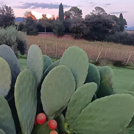Gospodarstwo agroturystyczne Tenuta Marchesi Fezia