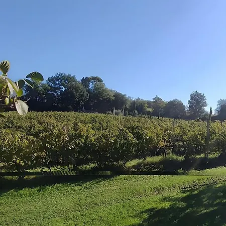 Tenuta Marchesi Fezia Нарни