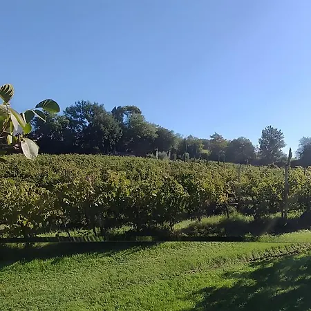 Tenuta Marchesi Fezia Фермерский дом Нарни