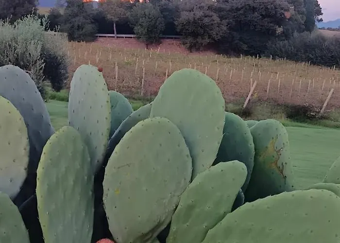 ファームステイ Tenuta Marchesi Fezia