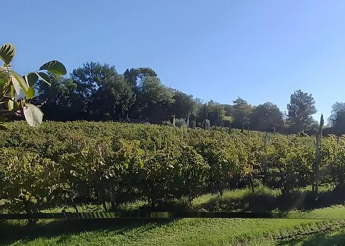 Tenuta Marchesi Fezia ナルニ