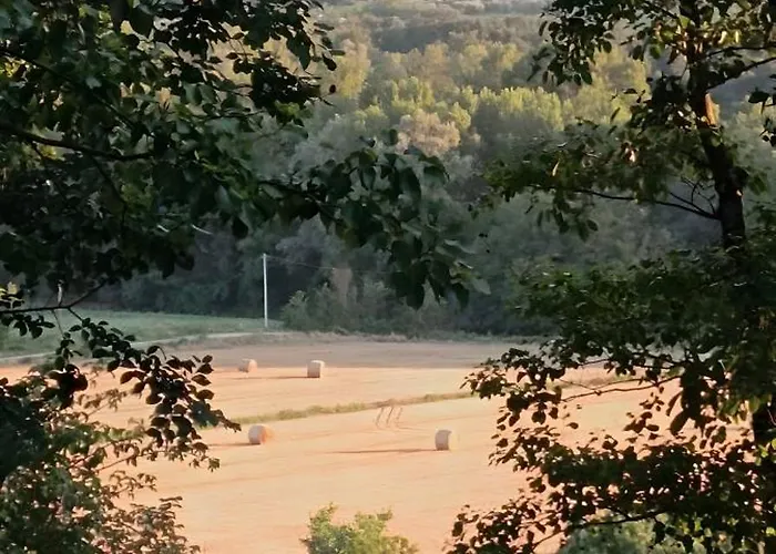 Tenuta Marchesi Fezia ファームステイ